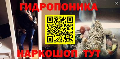 молекула духа Берёзовский