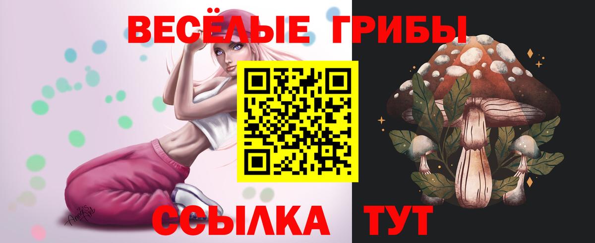 Галлюциногенные грибы Psilocybine cubensis  Вход с VPN  Карачаевск 